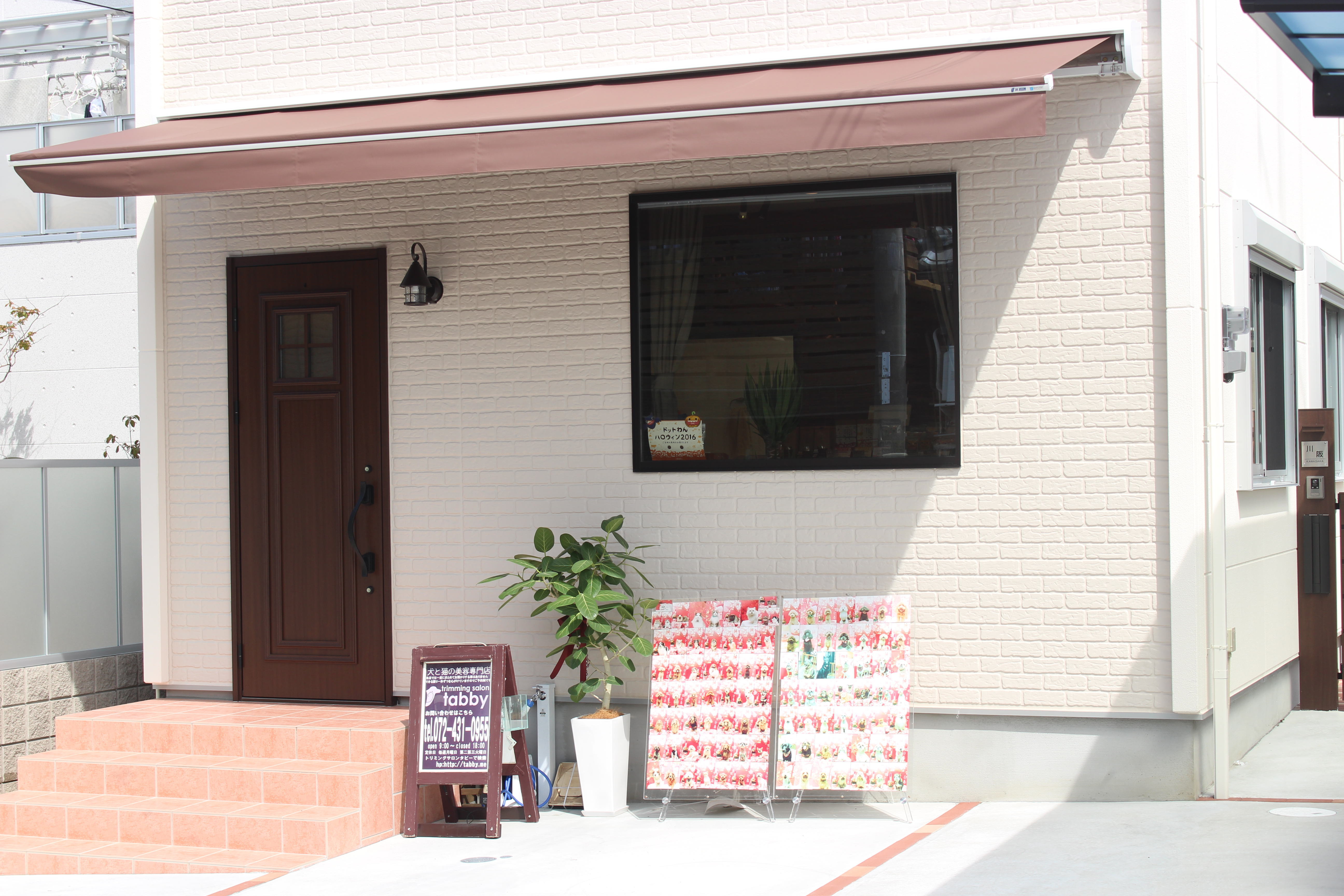 トリミングサロンTABBY